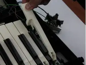Piano Key