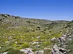 Phrygana in central Crete, Greece