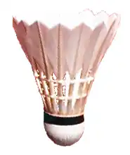 Shuttlecock or Federball