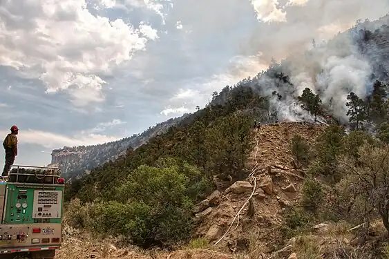 Fire crews use an unofficial trail to access the Bear Fire