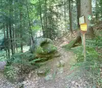 1446482596&nbsp;1446482596