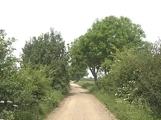 natural=scrub Even though some overgrowth is sometimes trimmed away to keep the road clear [3].