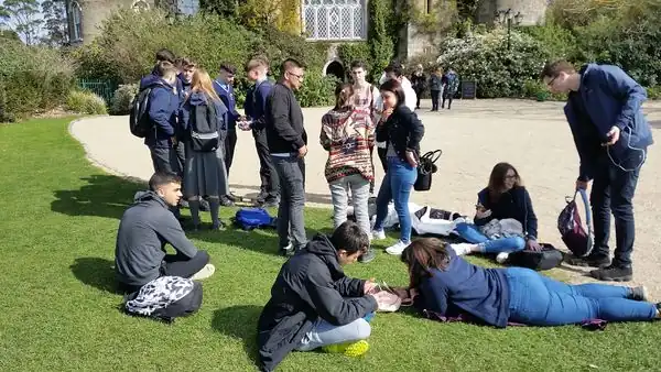 Alumnos examinam os datos obtidos co seu mobil