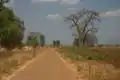 Unclassified road near Salima