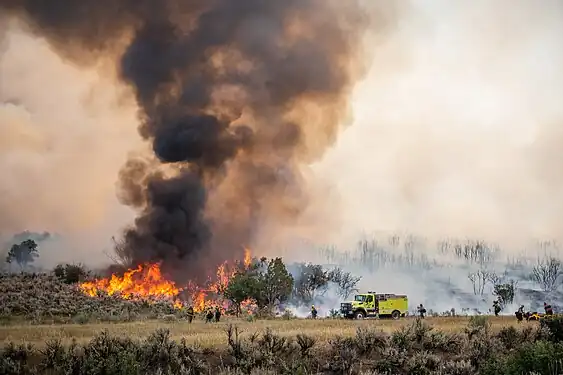 Wildlands fire crews responding to the Pine Gulch Fire