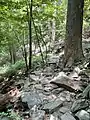 Rock covered trail surface on the Ole Ranger Trail at Patapsco Valley State Park