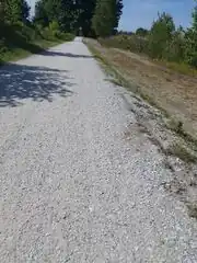 Cycle path in the Netherlands, covered in older shells, most of them cracked and broken.