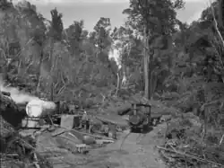 Knight's tram and a steam hauler, Raurimu, in a clearing in the bush