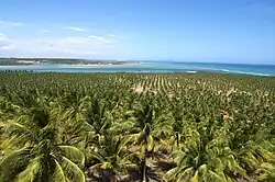 Aerial view of Barra de São Miguel across Roteiro Lagoon