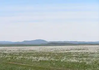 Steppe of East Ayagoz region, Kazakhstan.