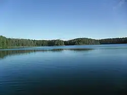 Lake Chistik, a protected area of Russia in Demidovsky District