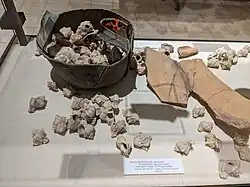 Murex shells from the Iron Age II period (10th–7th centuries BCE) with ancient remains of purple on the shards seen on the right