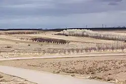 The area around the caravanserai of Nik Pey