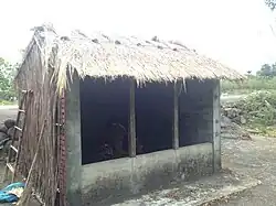 The Kong-kài of Alikuan.