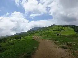 Dongling Mountain on the border with Hebei, 2016