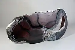 Life I, molten glass, cut and engraved, 39 x 59 x 8&nbsp;cm, 2014