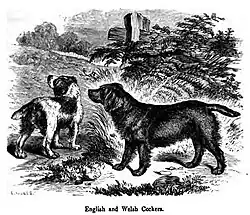 A drawing of two dogs in greyscale, the other is light with dark patches