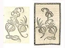 Allium sativum. Left: Hortus Sanitatis, Straßburg 1497 (I, 14). Right: Reversed copy. Kleines Destillierbuch (Blatt 65r)