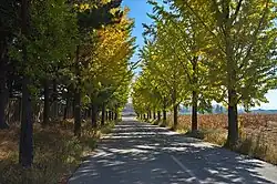 Paved road to Panmunjon, on the border with South Korea