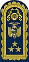 Military rank insignia of Lieutenant General of Ecuadorian Air Force