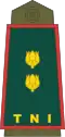 Indonesian Army (Letnan Kolonel)