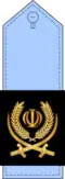 Islamic Republic of Iran Air Force insignia