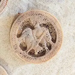 Man with animal on his back (possible)