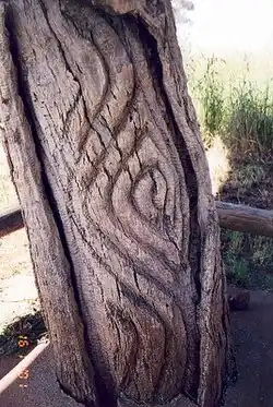 Wiradjuri carved tree, Grave of Yuranigh. c.&nbsp;1850