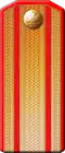 Shoulder board Pokovnik IRA until 1917