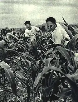 Li Zhun in 1963