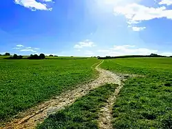 First battle of Newbury site, facing South.