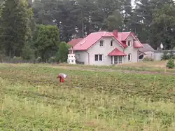 Farming Field in Lipusz