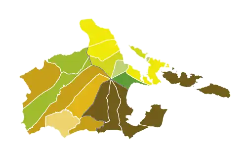 Results of 2019 Albay Congressional Elections by Municipality