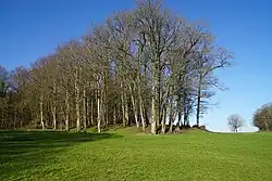 The slag heap of the Ghautier well.