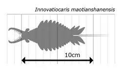 Size diagram