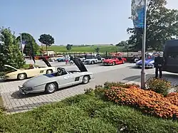 2023 Gullwing Group Saturday car show