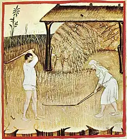 Threshing