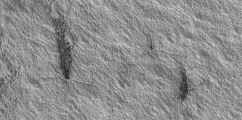 Plumes and spiders, as seen by HiRISE under HiWish program