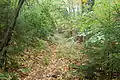 General view of a trail