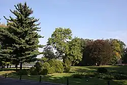 Park by the palace in Wolsztyn.