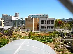 999 Eddy Street community garden in 2012