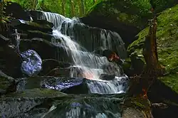 A waterfall casading over steps of rocks with mossy rocks nearby
