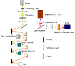 Diagram of the AOSLO setup