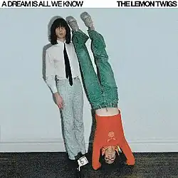 A plain photo with stark lighting of two adult brothers playfully posing against a white wall by leaning camera left while one does a headstand.