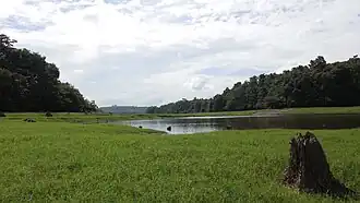 A landscape at Thattekad Bird Sanctuary