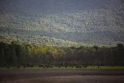 Photograph of Alendan Lake that is drying up