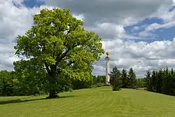 A column commemorating the 1812 war between Russia and France, in Mõdriku manor park.