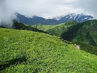 View of a Bugyal (meadow) in Uttarakhand