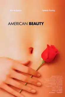 Poster of a woman's stomach with her hand holding a red rose against it.