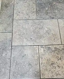 Tuxedo Grey: Kansas Historical Society archives entrance flooring